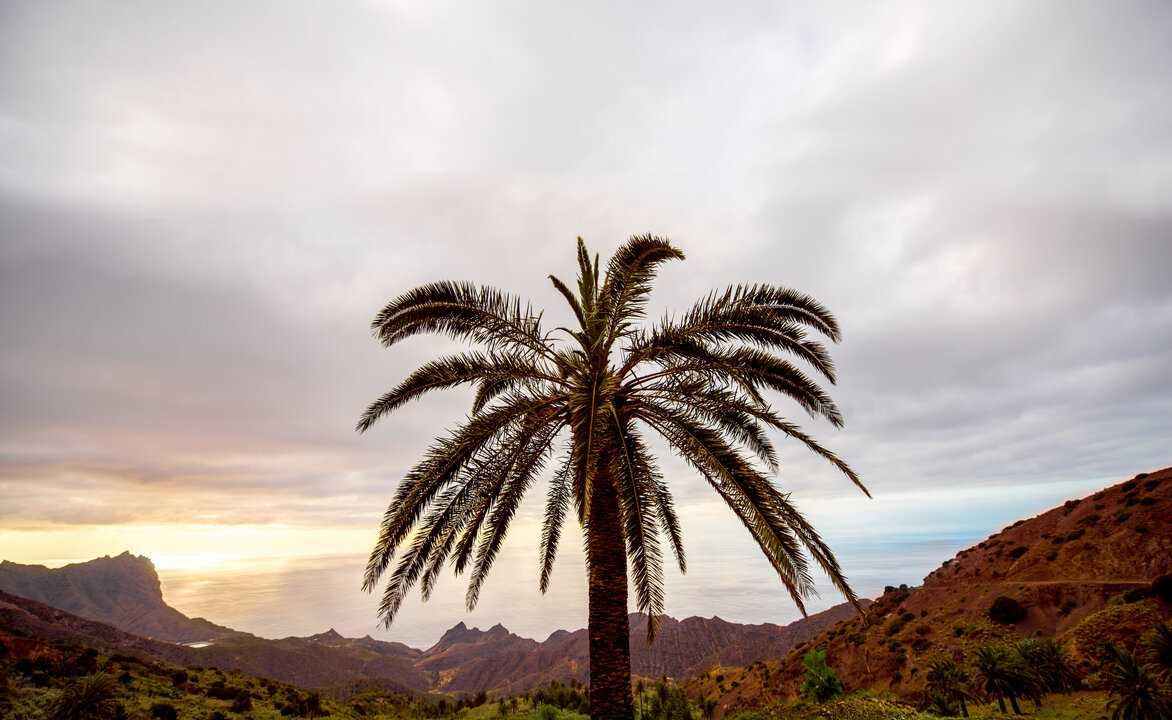 Movement Matters: Physical Development Programs in Tenerife's Guarderias